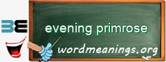 WordMeaning blackboard for evening primrose